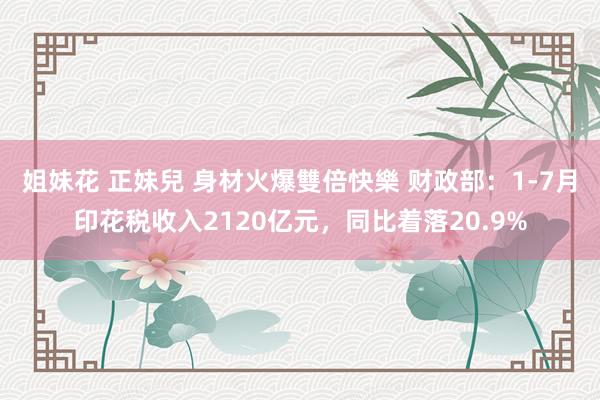 姐妹花 正妹兒 身材火爆雙倍快樂 财政部：1-7月印花税收入2120亿元，同比着落20.9%