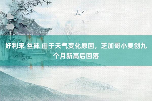 好利来 丝袜 由于天气变化原因，芝加哥小麦创九个月新高后回落