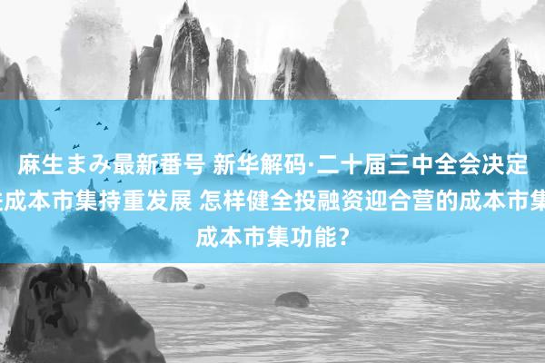 麻生まみ最新番号 新华解码·二十届三中全会决定｜促进成本市集持重发展 怎样健全投融资迎合营的成本市集功能？