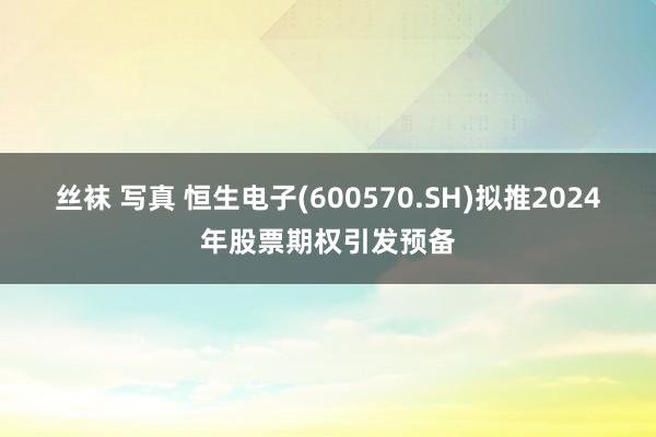 丝袜 写真 恒生电子(600570.SH)拟推2024年股票期权引发预备