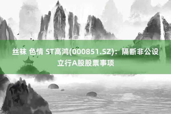 丝袜 色情 ST高鸿(000851.SZ)：隔断非公设立行A股股票事项